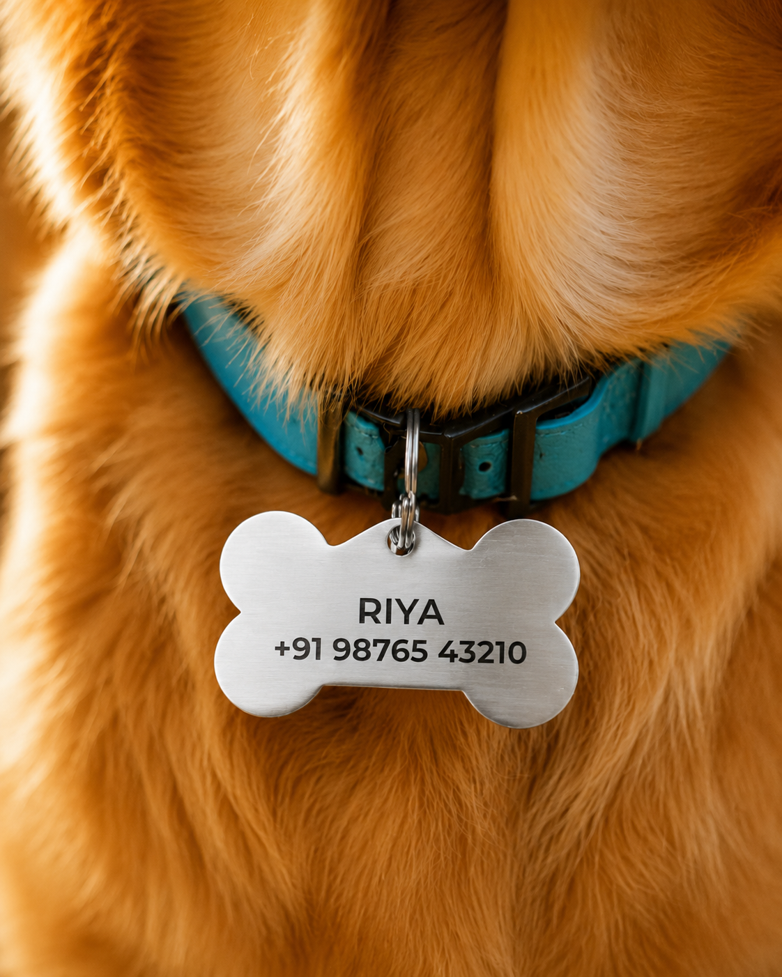 Pet Tags